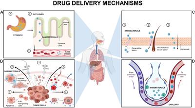 Modern World Applications for Nano-Bio Materials: Tissue Engineering and COVID-19